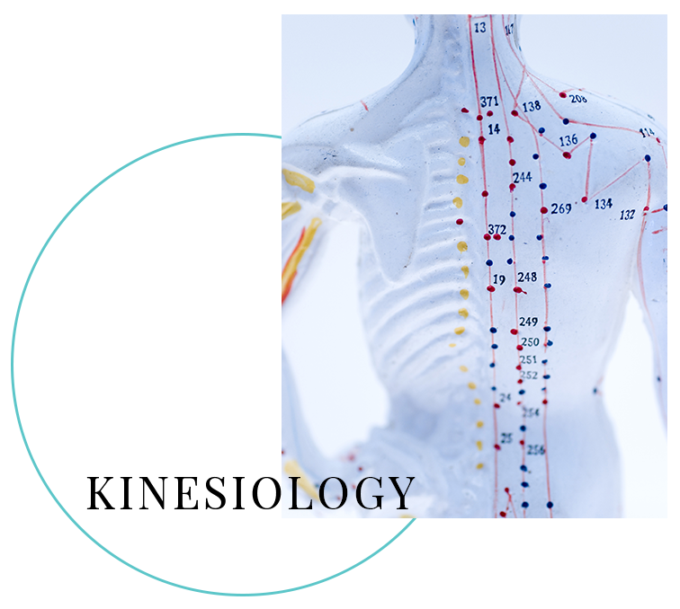 KINESIOLOGY